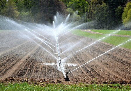 Sprinkler